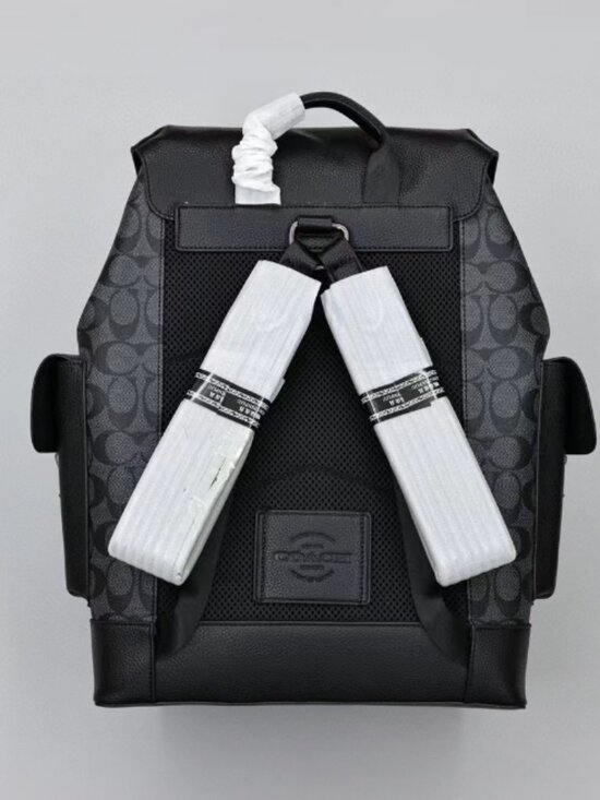 Coach Hudson Backpack in Signature